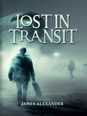 cover image of Lost In Transit